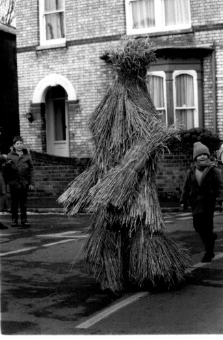 straw bear
